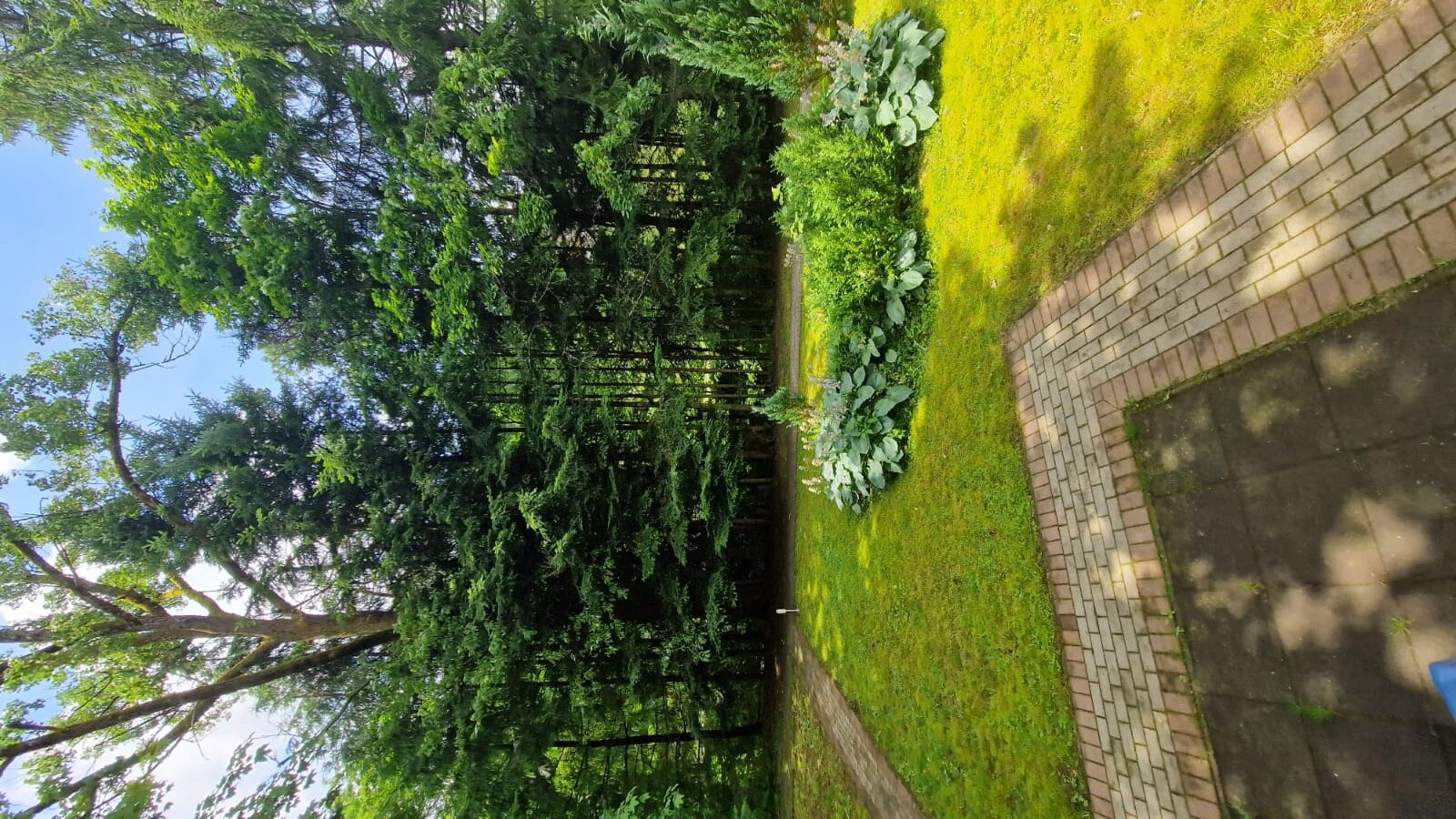 IMG-20240804-WA0092
